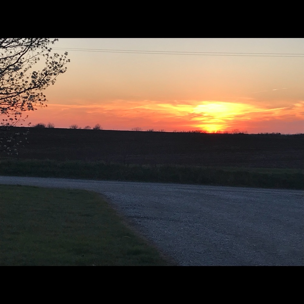 Meet your Posher, Christi